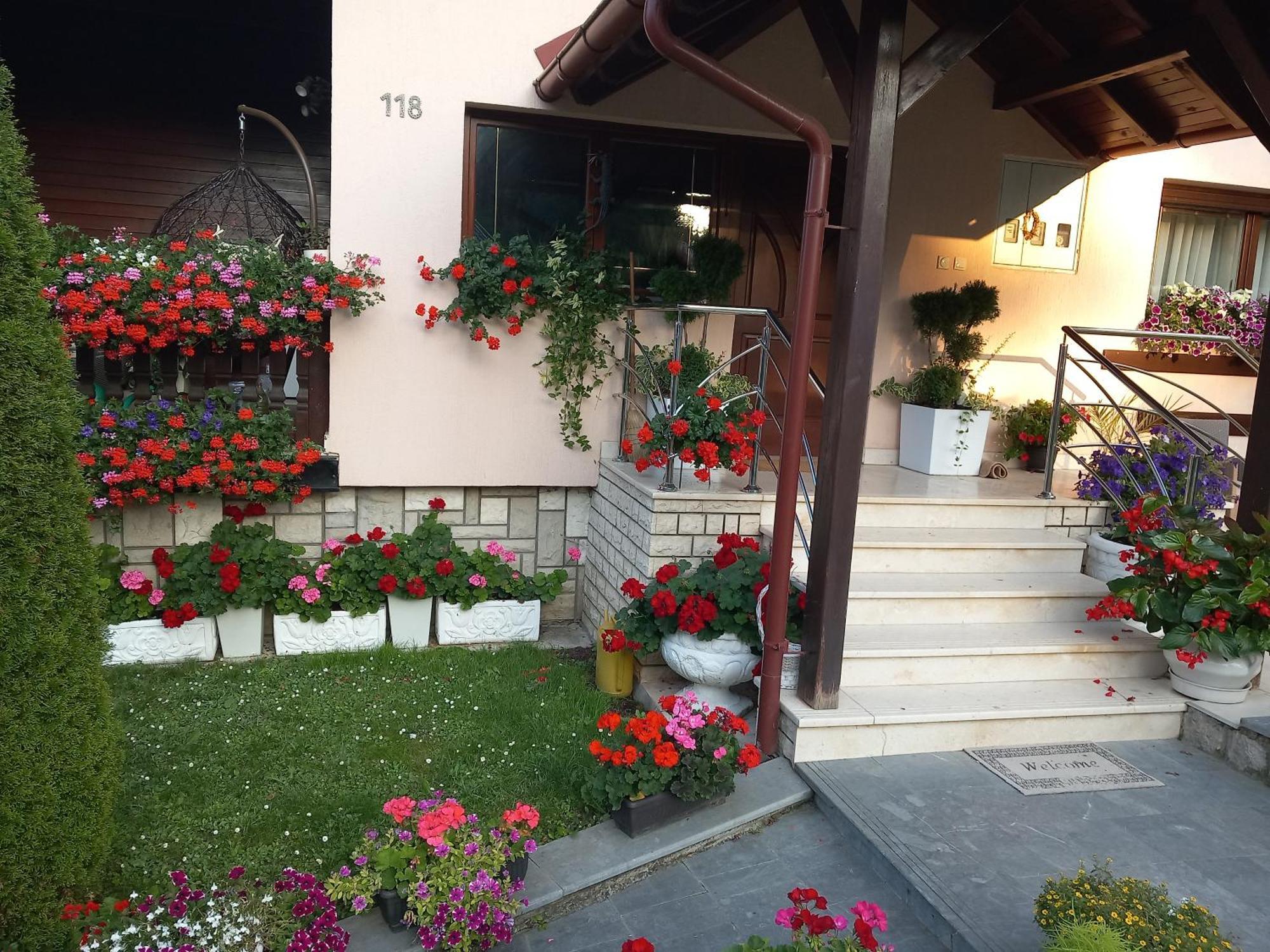 Apartment Vihor Zlatibor Kültér fotó